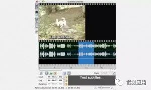抖音短视频怎么玩_抖音短视频可以制作字幕吗_抖音电视剧短视频怎么制作